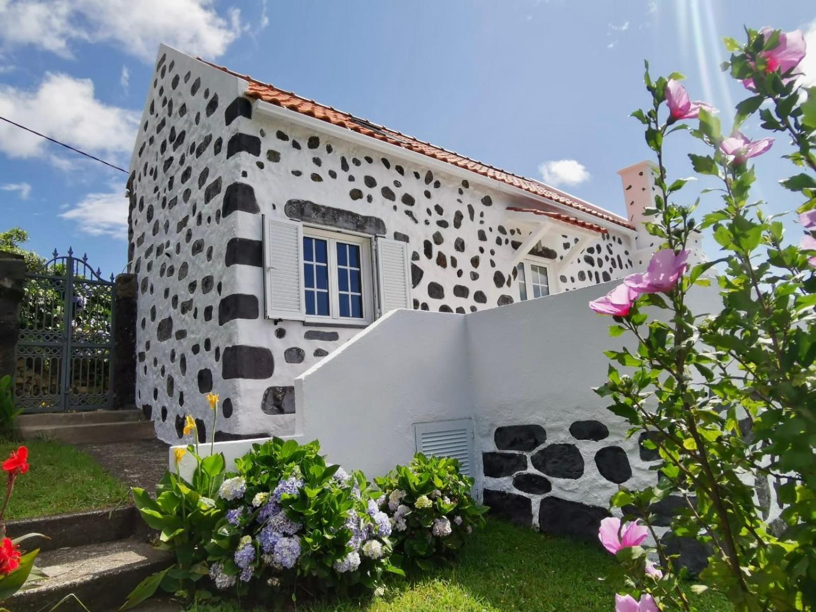Vivenda Flores - Casa Hortensia Lomba  Eksteriør billede